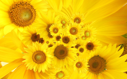 495494 (a): :1920x1200